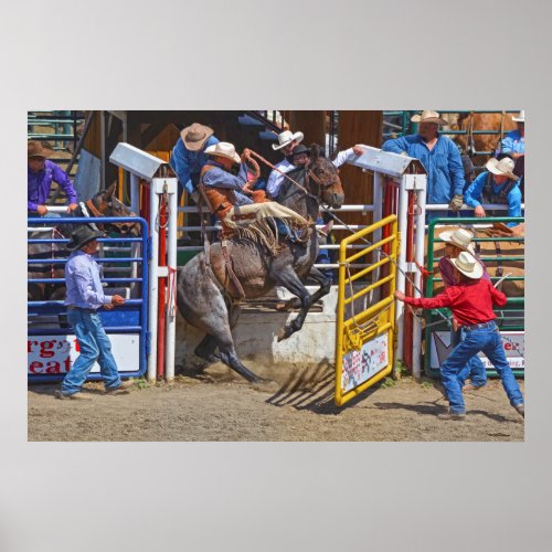 Saddle Bronc Breaking Out of Rodeo Chute w Cowboy Poster
