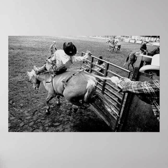 Saddle Bronc Rider, a black and white print (Front)