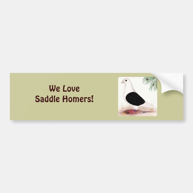 Saddle Homer Pigeon Bumper Sticker (Front)