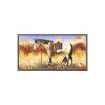 Saddle Horse Resting