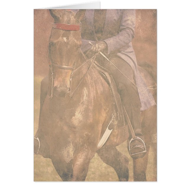 Saddlebred Dreams Cards (Front)