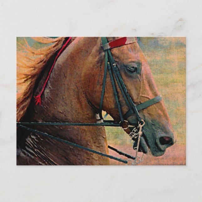 Saddlebred Faux Painting Postcard (Front)