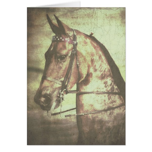 Saddlebred Horse Cards (Front)