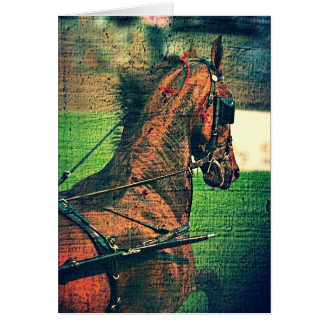 Saddlebred In Harness Cards (Front)