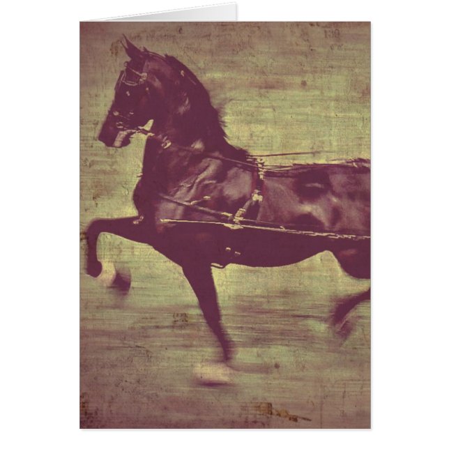 Saddlebred Song Cards (Front)
