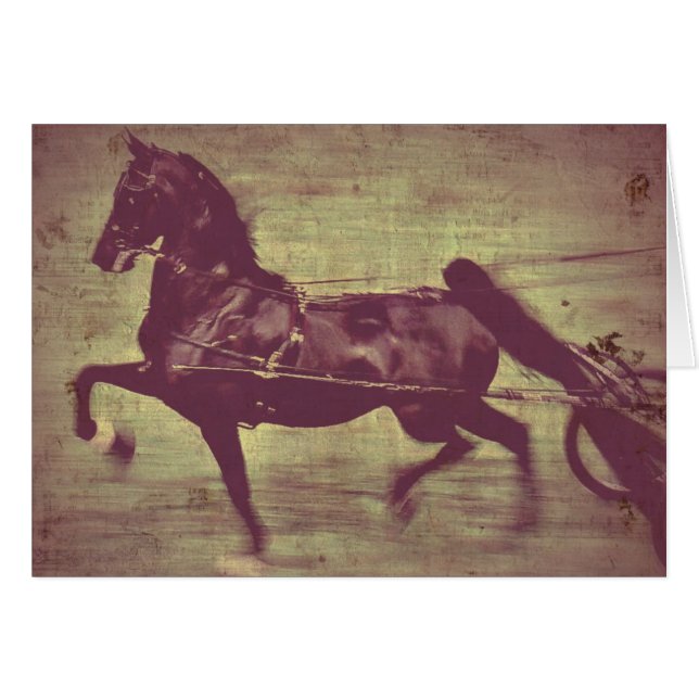 Saddlebred Song Cards (Front Horizontal)