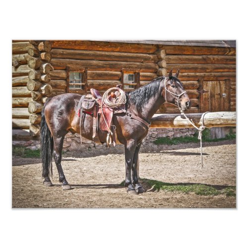 Saddled Horse _ Horses _ Ranch Photo Print