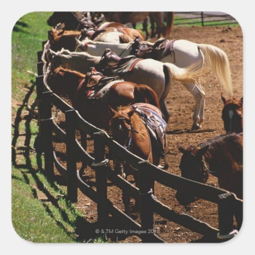 Saddled horses in corral square sticker