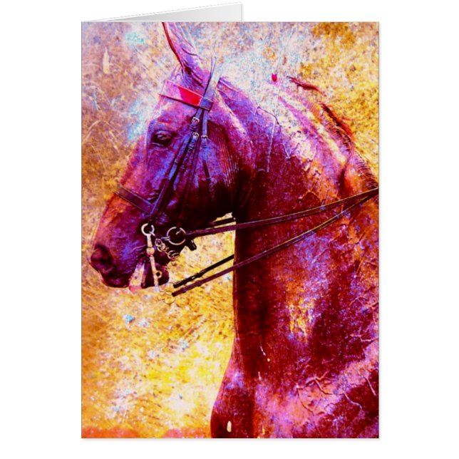 Saddleseat Grunge Cards (Front)