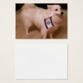Sadie the Jewish Dog (Front & Back)