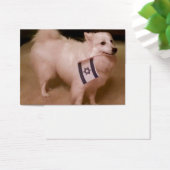 Sadie the Jewish Dog (Desk)