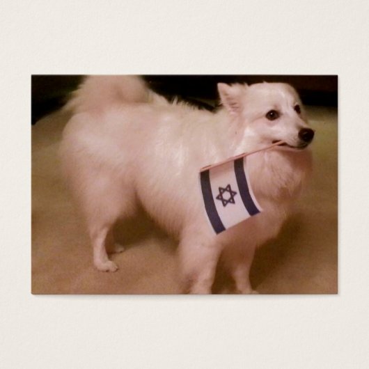 Sadie the Jewish Dog (Front)