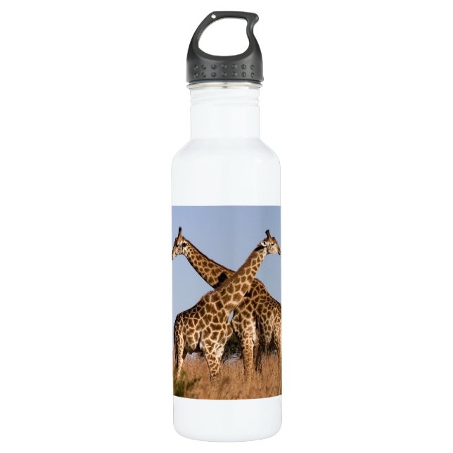 Safari Africa Giraffes Water Bottle (Front)