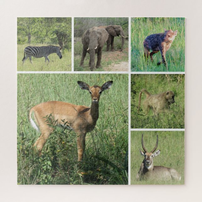 safari africa jigsaw puzzle (Horizontal)