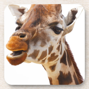 Safari Africa Jungle Giraffe Beverage Coaster