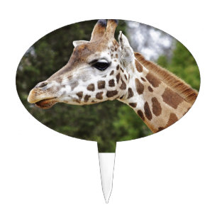 Safari Africa Mod Chic Classy Destiny Giraffe Cake Topper