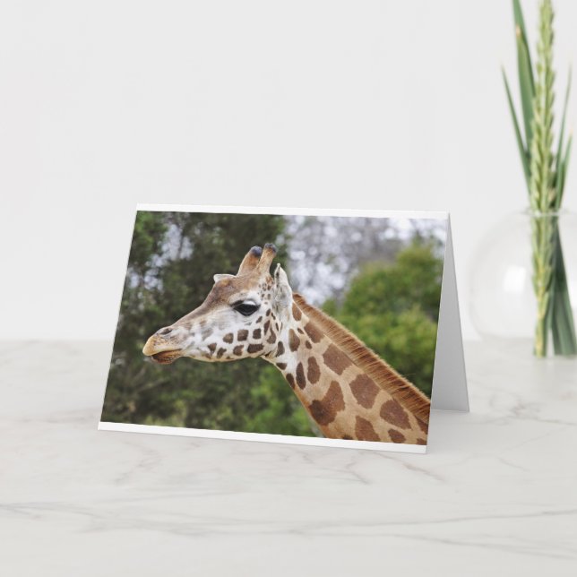 Safari Africa Mod Chic Classy  Destiny Giraffe Card (Front)