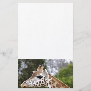 Safari Africa Mod Chic Classy  Destiny Giraffe Stationery