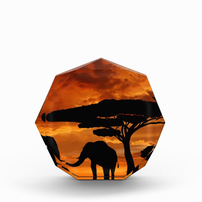 Safari African Baobab tree elephant silhouette Award (Front)