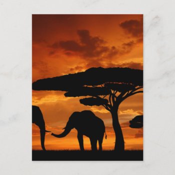Safari African Baobab Tree Elephant Silhouette Postcard by WhenWestMeetEast at Zazzle