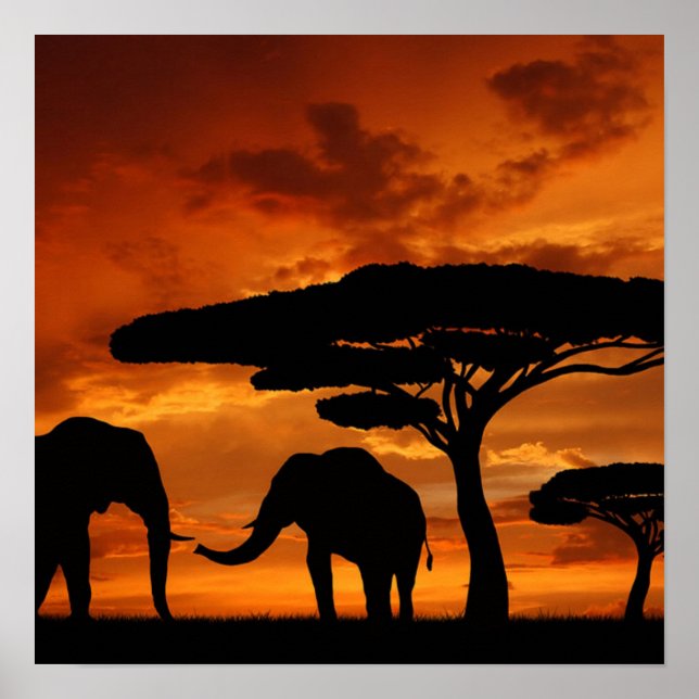 Safari African Baobab tree elephant silhouette Poster (Front)