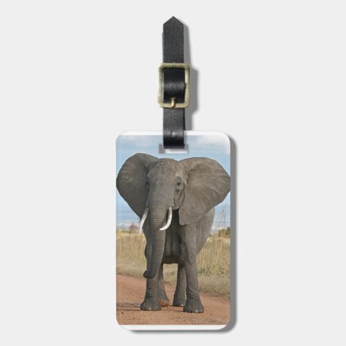 Safari African Jungle Destiny Animals Elephants Luggage Tag