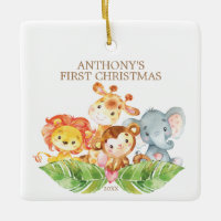 Safari Animals Baby's First Christmas Ornament