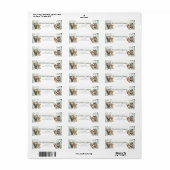 150 Jungle Safari Address Label Set, Baby Safari Animals Return