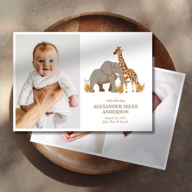 Safari Animals Photos New Baby Announcement (Creator Uploaded)
