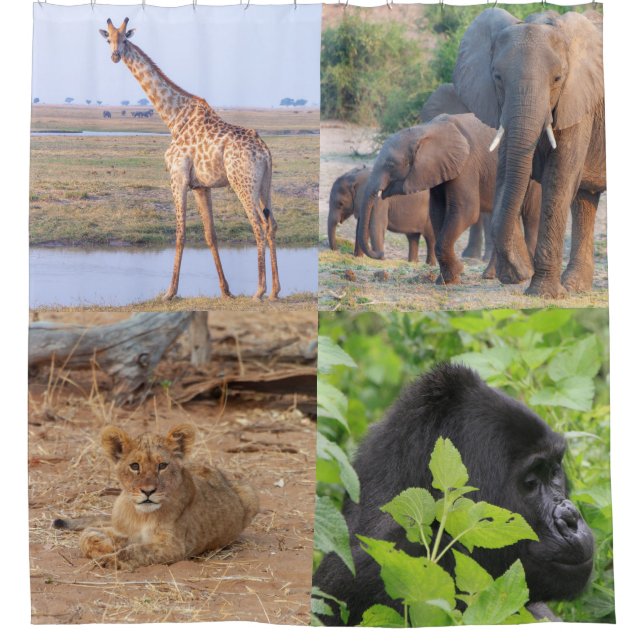 Safari Animals Shower Curtain (Front)