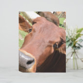 Safari Brown Cow (Standing Front)