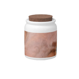 Safari Brown Cow Candy Jar