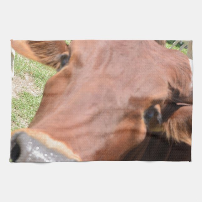 Safari Brown Cow Kitchen Towel (Horizontal)