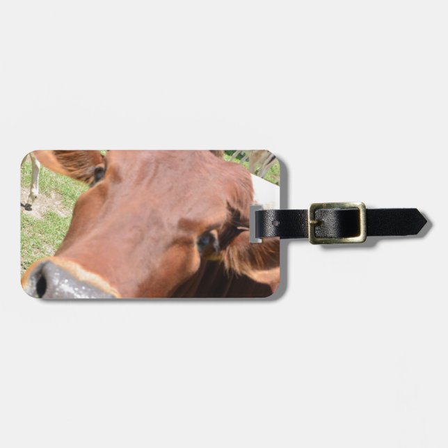 Safari Brown Cow Luggage Tag (Front Horizontal)