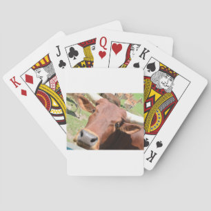 Safari Brown Cow Poker Cards