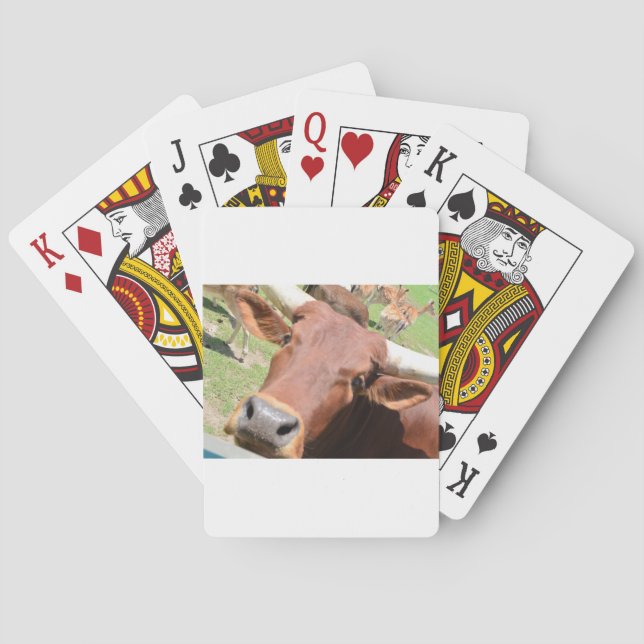 Safari Brown Cow Poker Cards (Back)