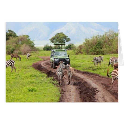 Safari Cards (Front Horizontal)