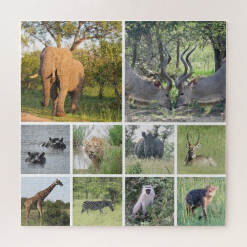 safari collage jigsaw puzzle