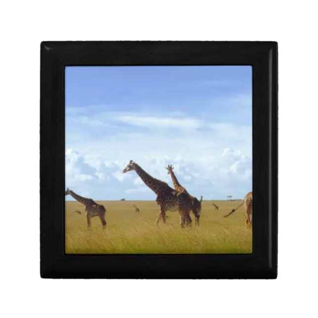 Safari Dining: Nairobi Park Home Kitchen Accessori Keepsake Box (Front)