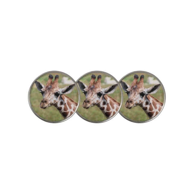 Safari in Des Moines Golf Ball Marker (3 Up)