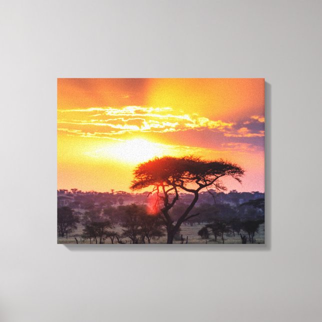 Safari in the Serengeti National Park Canvas Print (Front)