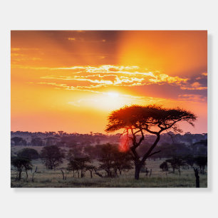 Safari in the Serengeti National Park Foam Board