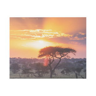 Safari in the Serengeti National Park Gallery Wrap