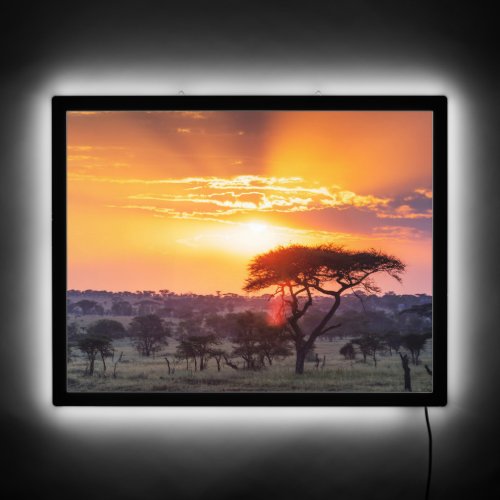 Safari in the Serengeti National Park LED Sign
