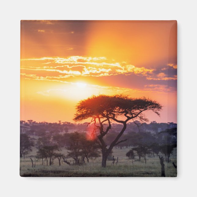 Safari in the Serengeti National Park Magnet (Front)