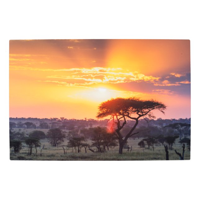 Safari in the Serengeti National Park Metal Print (Front)