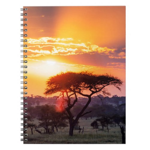 Safari in the Serengeti National Park Notebook