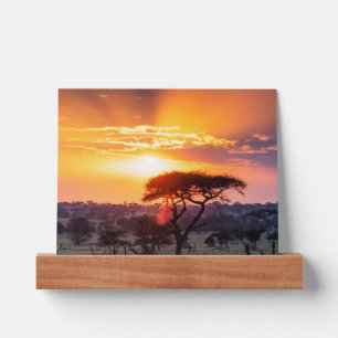 Safari in the Serengeti National Park Picture Ledge