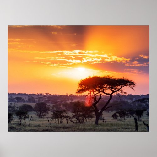 Safari in the Serengeti National Park Poster