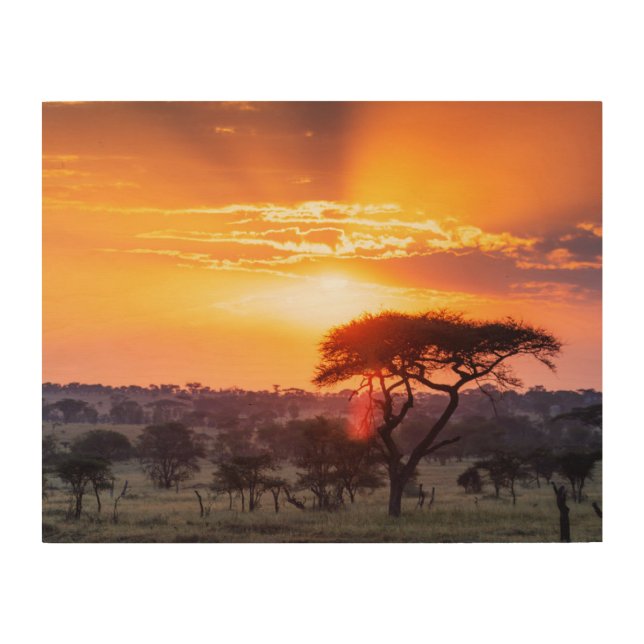 Safari in the Serengeti National Park Wood Wall Art (Front)